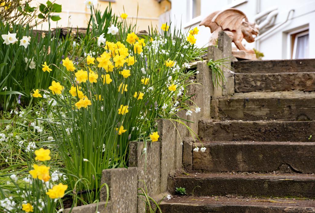 Gabriel House Guesthouse Cork Exterior photo